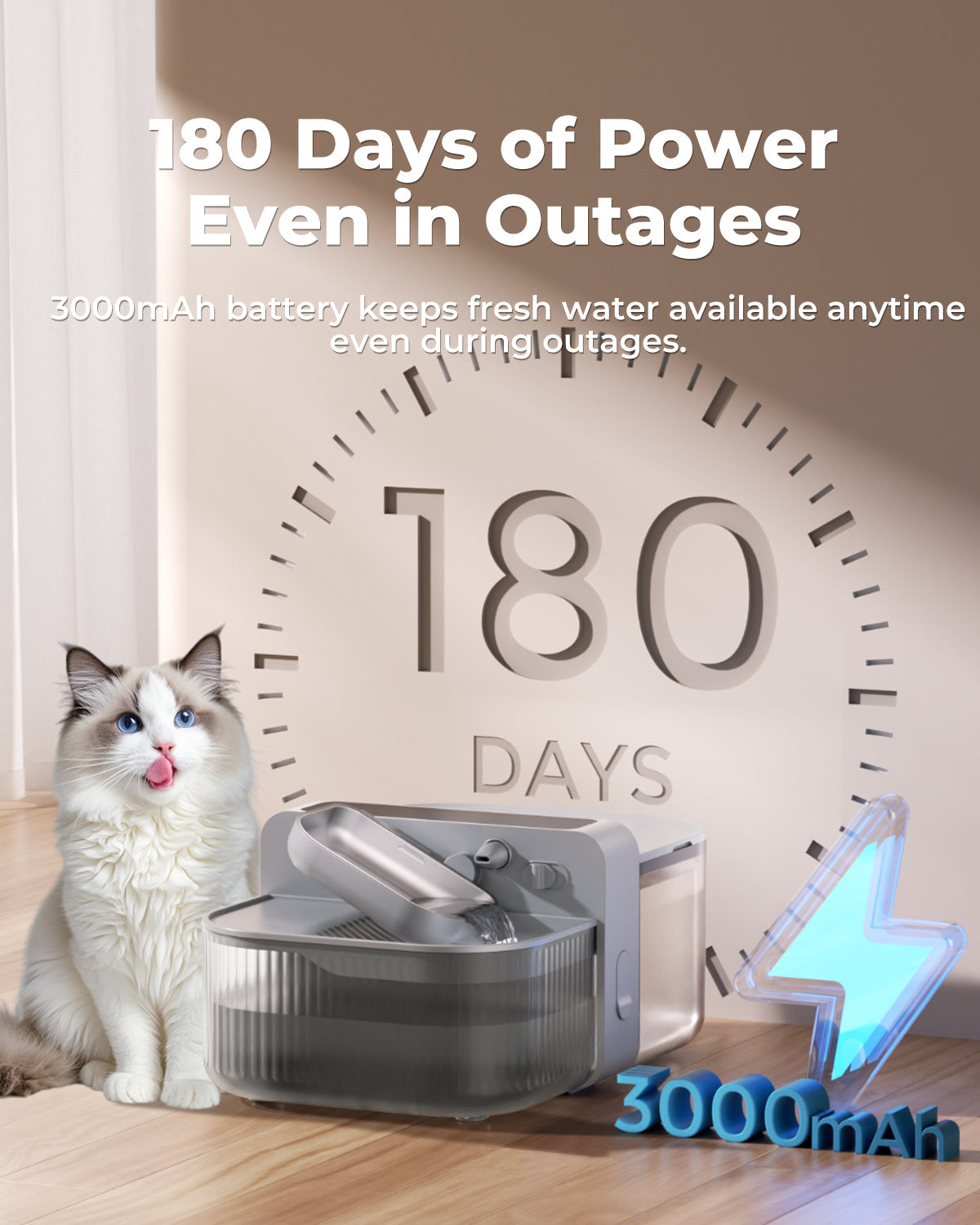 Pet Fountain