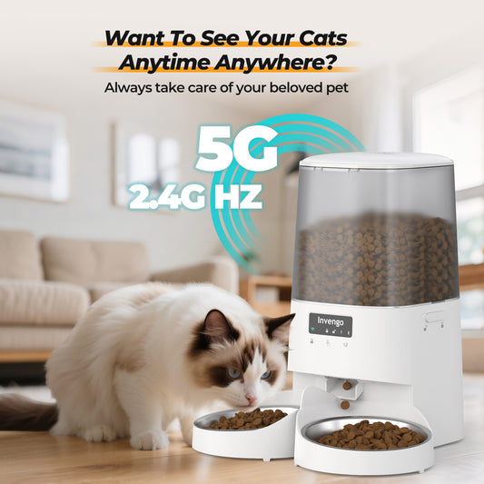 Invengo Automatic Pet Feeder with Dual Bowl