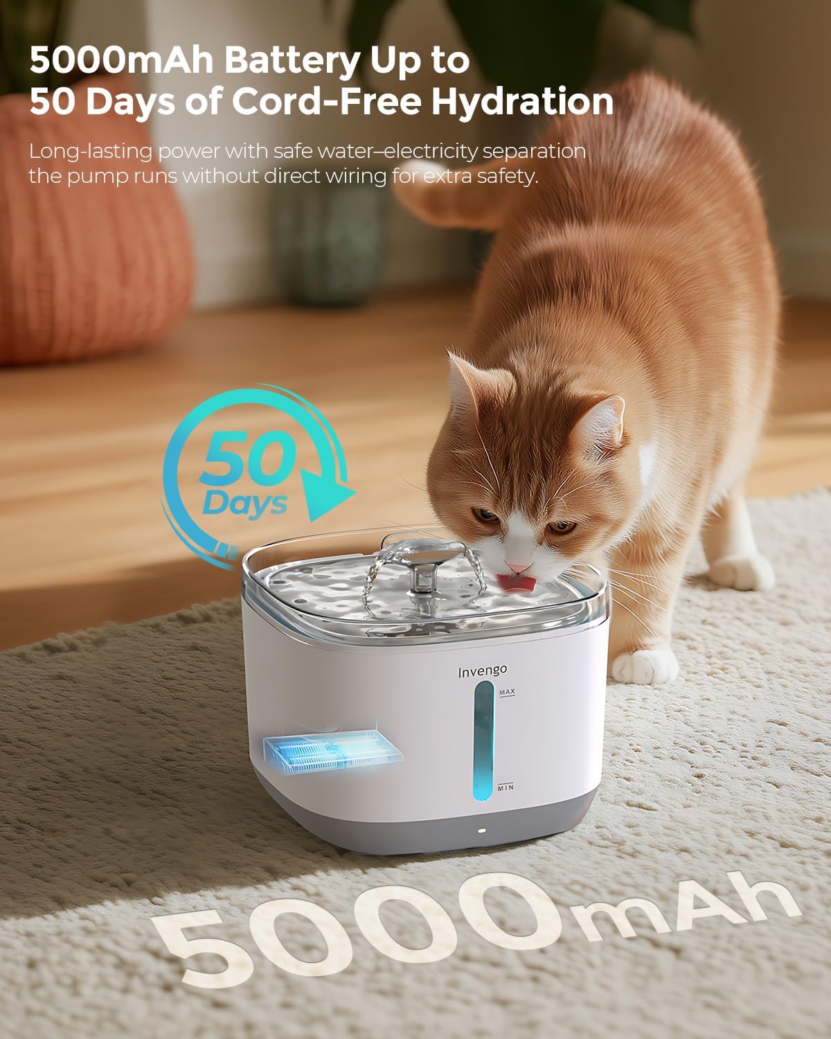 Invengo Cat Wireless Water Fountain