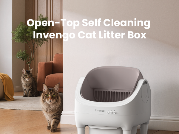 Automatic Cat Litter Box