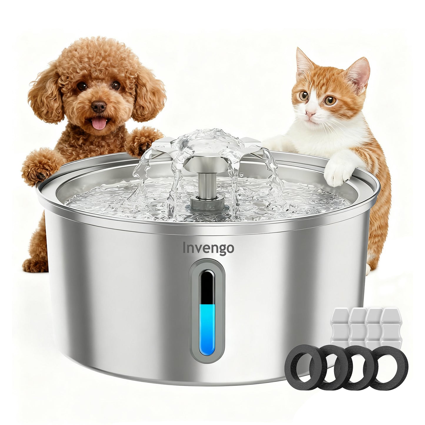 Pet Stainless Steel Water Fountain with 3.2L