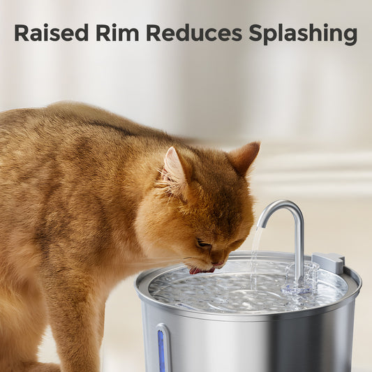 Invengo Pet Water Fountain with Stainless Steel